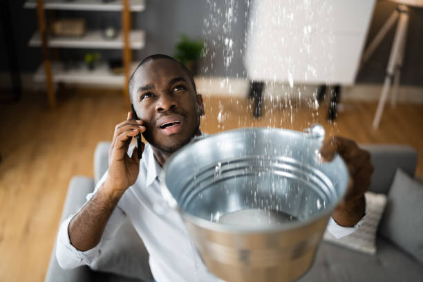 Best Flooded house restoration  in Memphis, TN