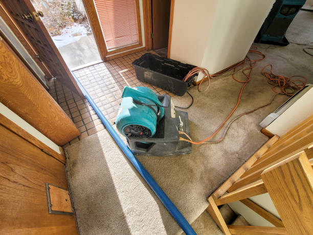 Best Residential water damage restoration  in Memphis, TN