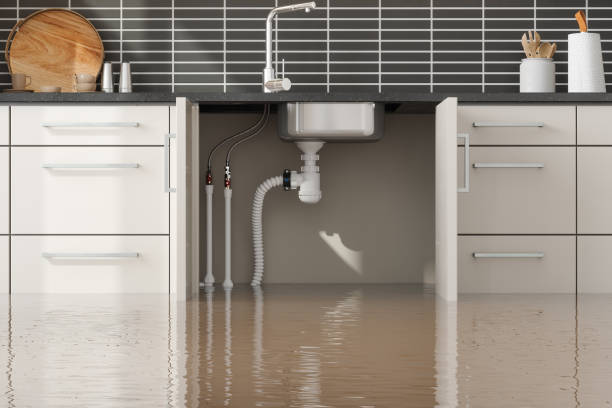 Best Flooded house restoration  in Memphis, TN