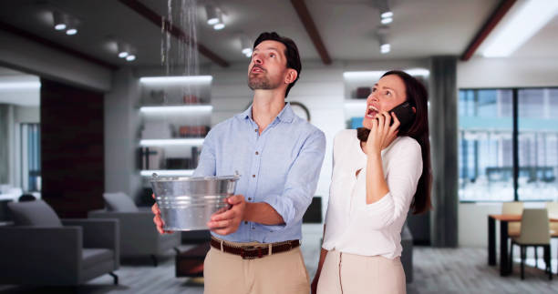 Best Local water damage restoration  in Memphis, TN